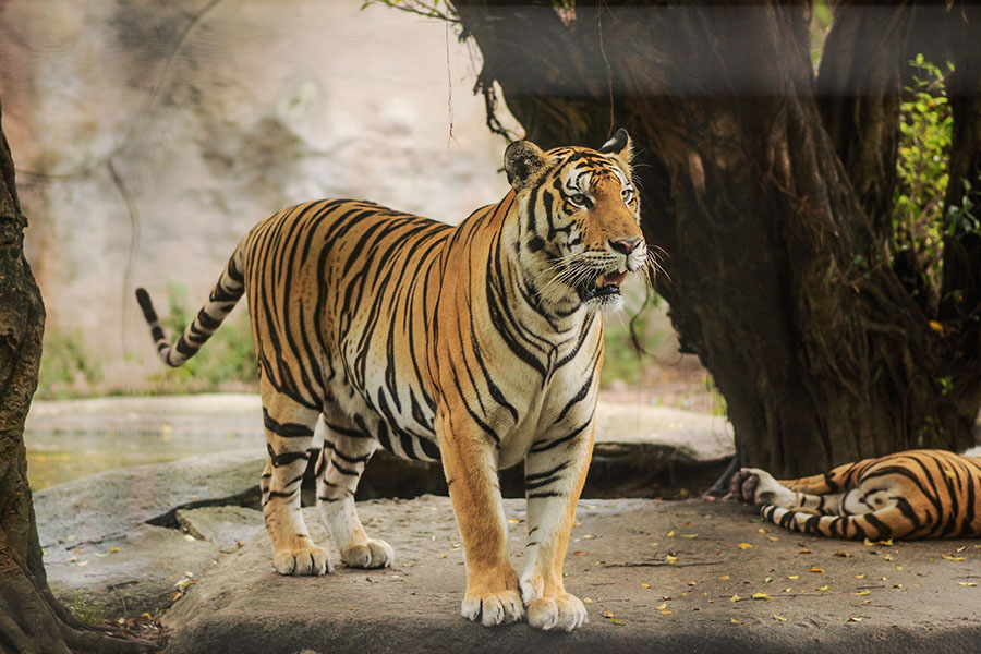 Besuch im Zürcher Zoo